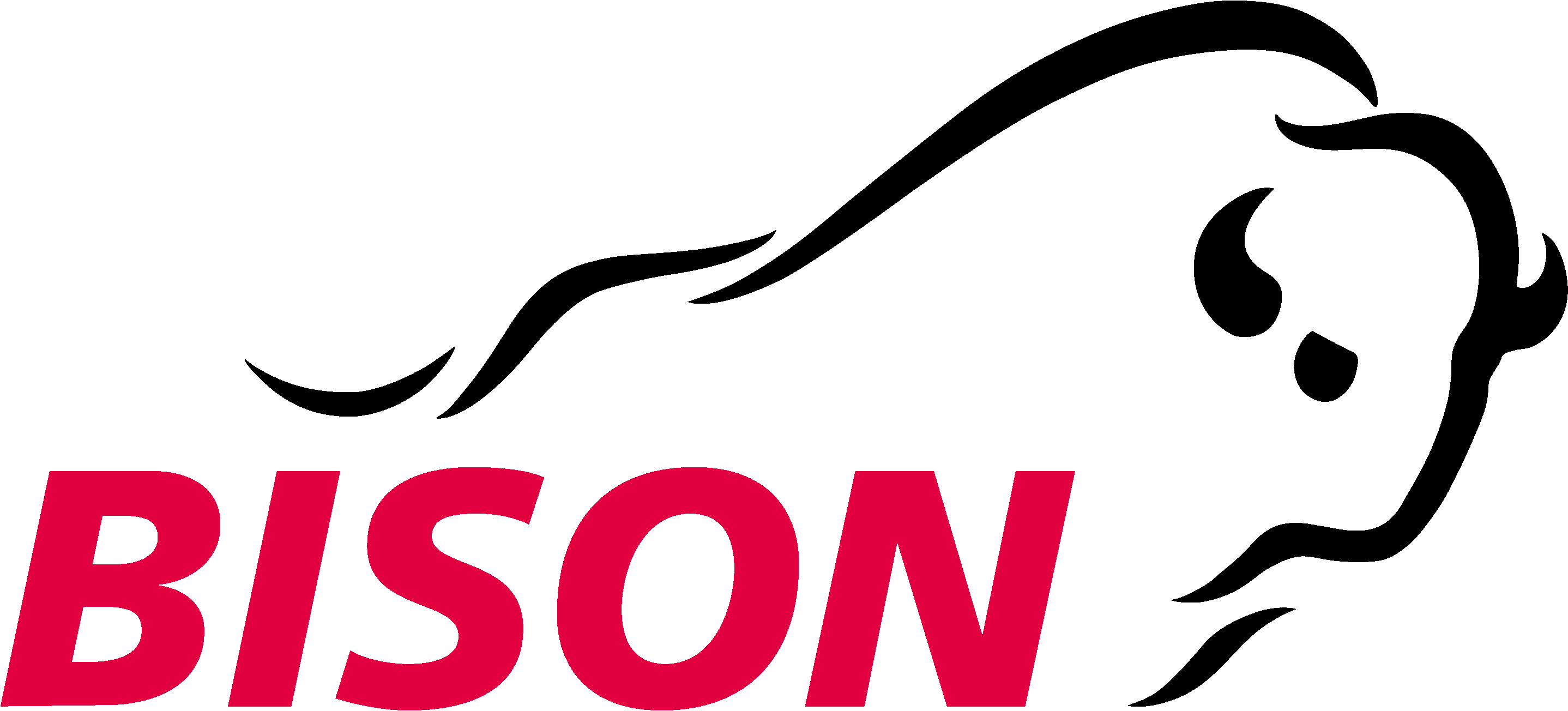 Bison Schweiz AG